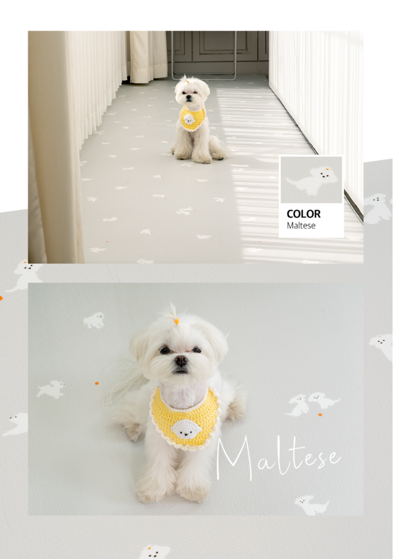 【PRE-ORDER】Non-Slip Waterproof Pet Mat - Hallway 走廊款 (Breed Pattern)