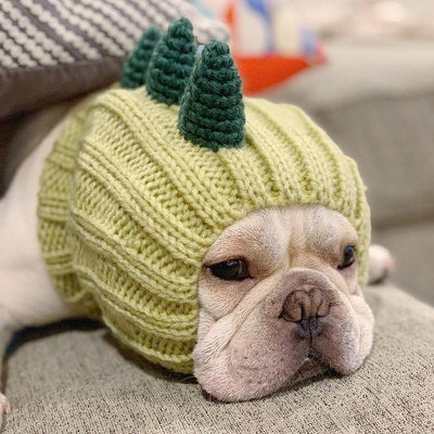 DINOSAUR ZOO SNOOD - Petisan