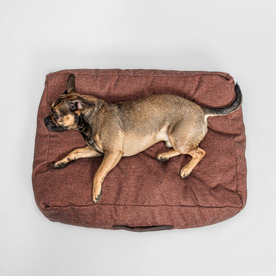 【PRE-ORDER】Dog Bed Homey