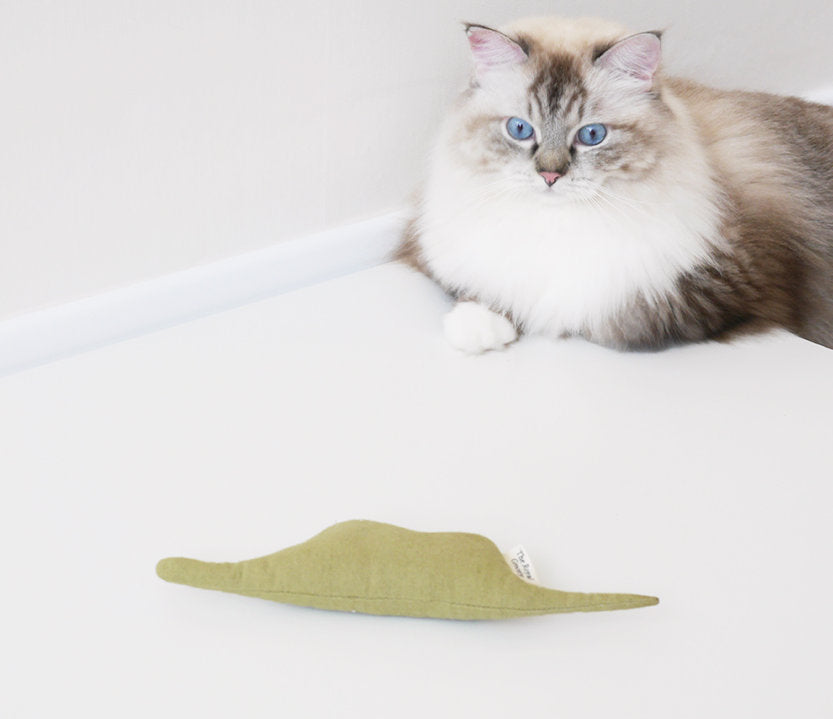 Cat Toy Boa Snake