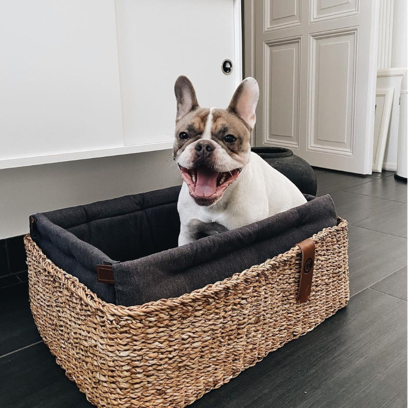 【PRE-ORDER】Dog Basket Hideaway