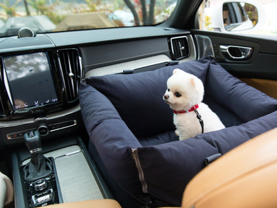 【PRE-ORDER】Pet Car Seat