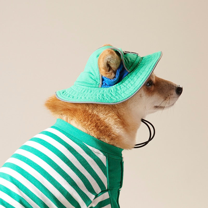 Bucket hat for dog hotsell