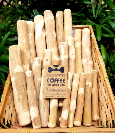 Coffee Tree Wood Chew