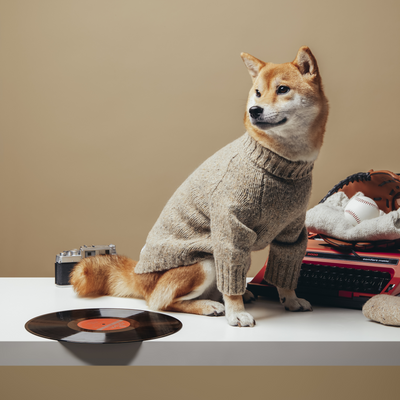 Vintage Mottled Pet Wool Sweater