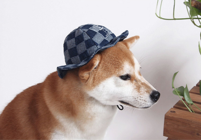 Printed Hat