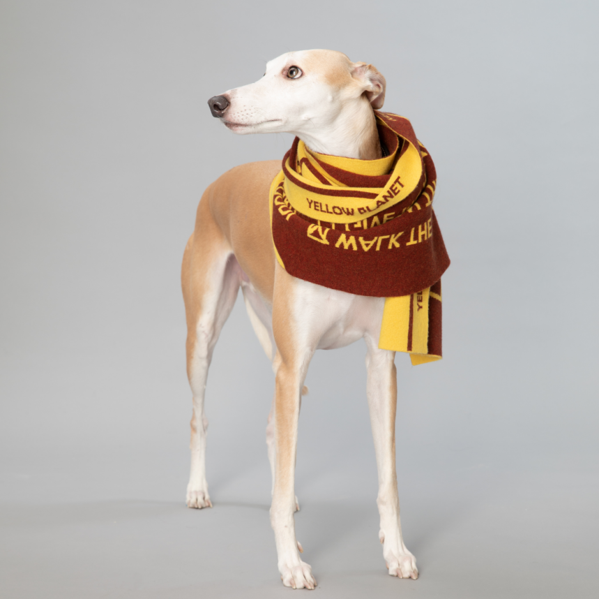 WOOF Cashmere Wool Scarf