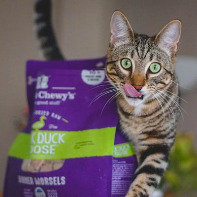 Stella & Chewys Freeze-Dried Cat Food - Duck Duck Goose Morsels