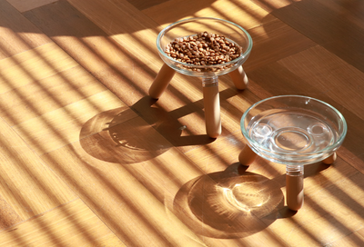 Pet Bowl - Oreo Glass