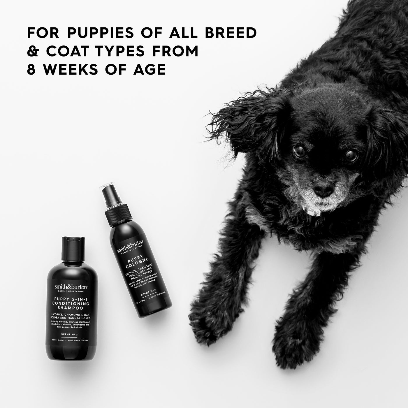 Puppy 2-in-1 Conditioning Shampoo