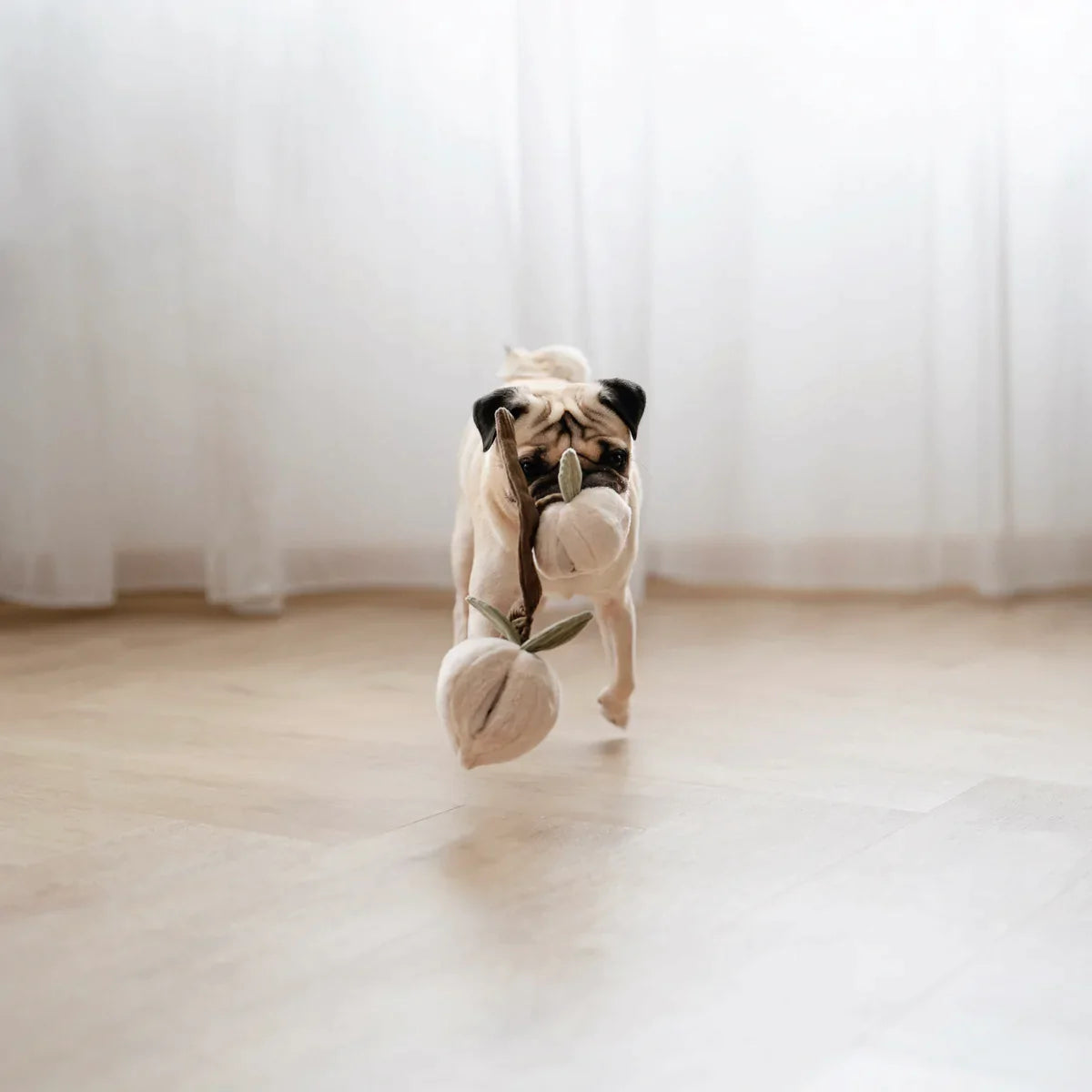 MOMO Snuffle peach toy