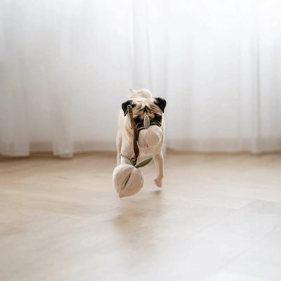MOMO Snuffle peach toy