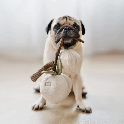 MOMO Snuffle peach toy