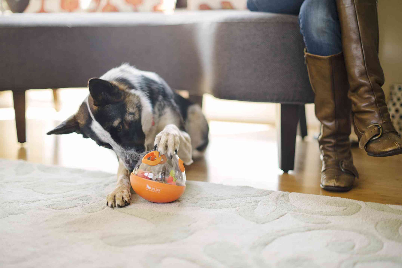 Dog Enrichment Toy - Wobble Ball