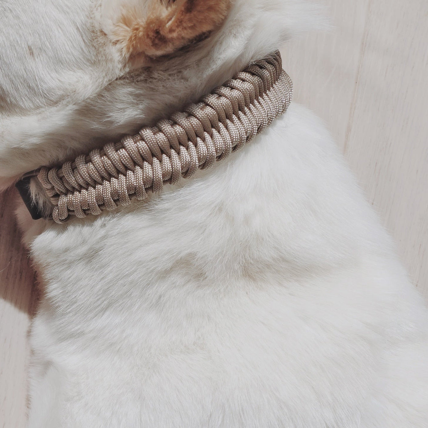 FOSSIL - Paracord collar