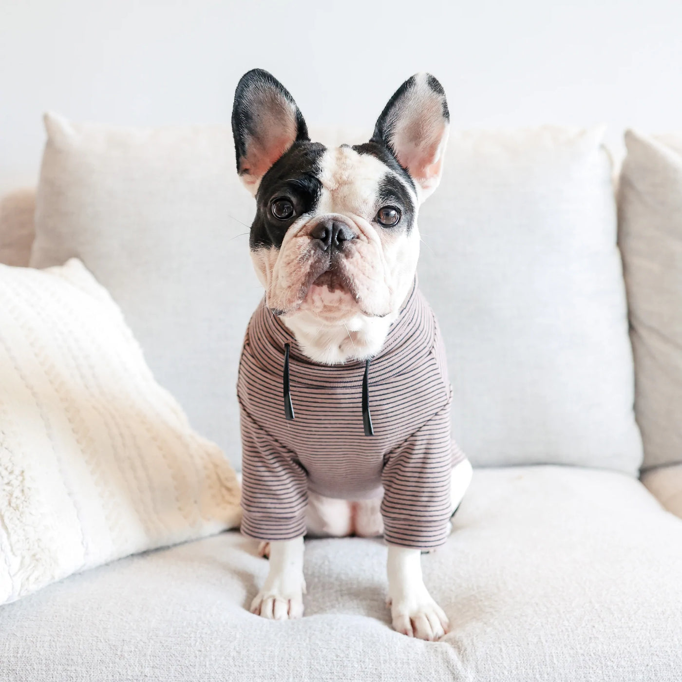 BRETON - Ultra Soft + Comfort Fit Pet Shirt
