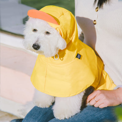 黃色鸭仔斗篷雨褸