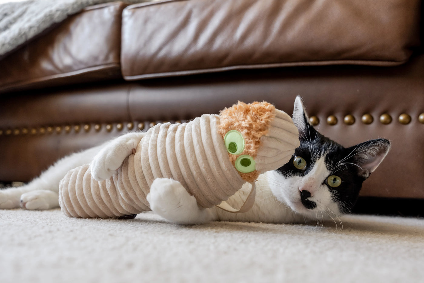 Feline Frenzy - Halloween Meow-my Toy