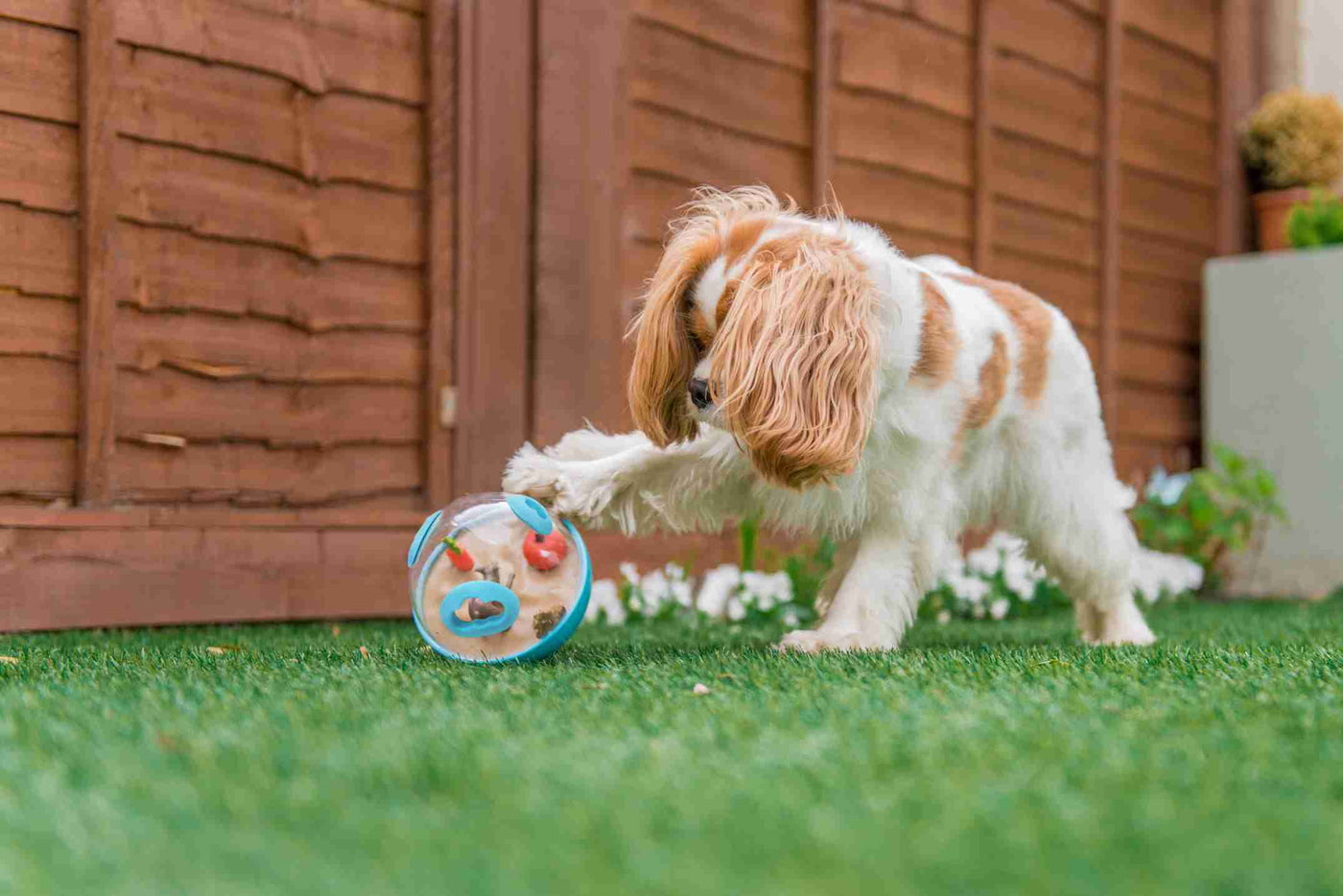 狗狗益智玩具 - 不倒翁漏食球