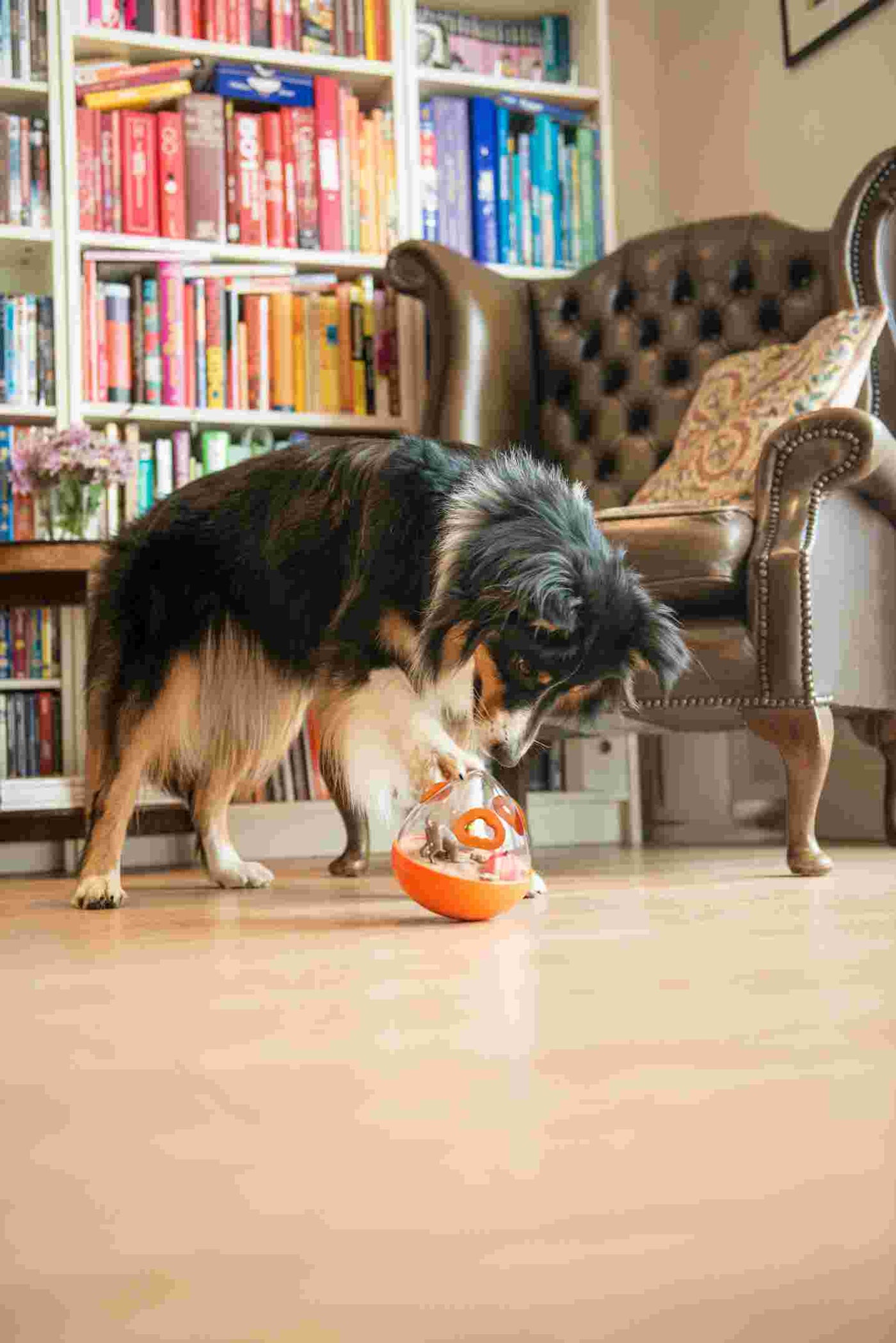 狗狗益智玩具 - 不倒翁漏食球