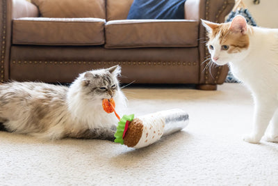 Feline Frenzy - Cat Kicker Toy Shrimp Purrito