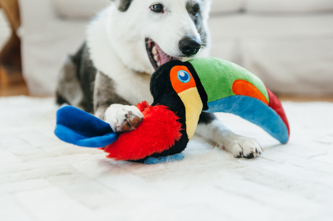 Dog Plush Toy -  Fetching Flock Collection