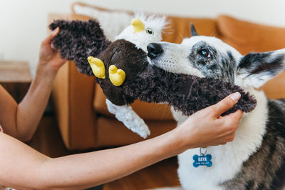 Dog Plush Toy -  Fetching Flock Collection