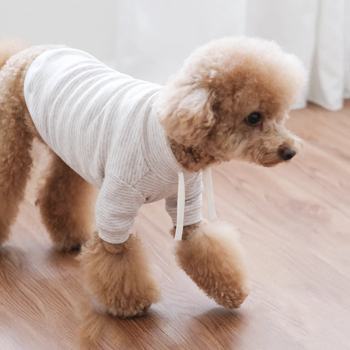 BRETON - Ultra Soft + Comfort Fit Pet Shirt