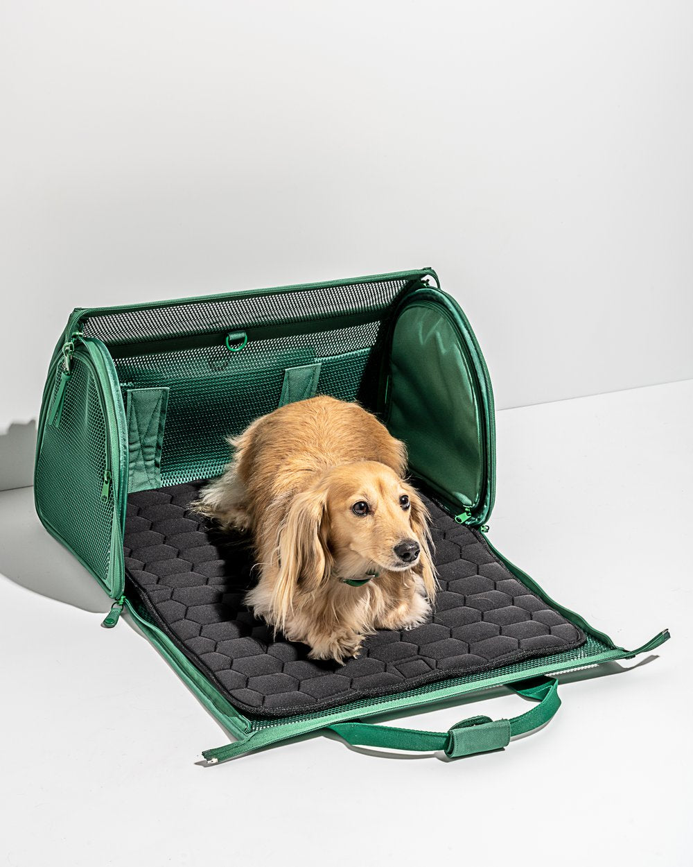 Kong travel carrier cheap