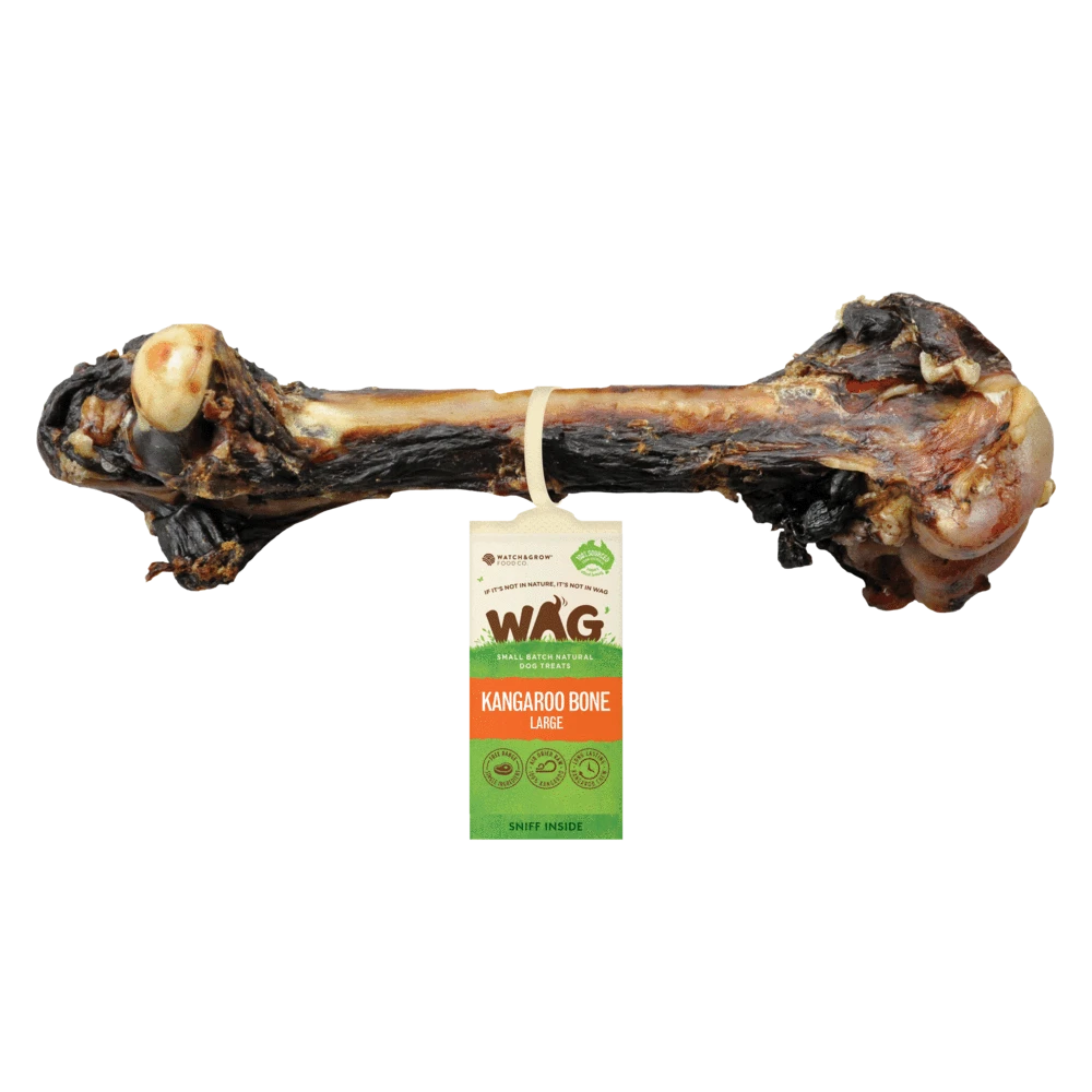 Kangaroo Large Bone