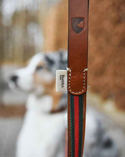 Baseball dog lead