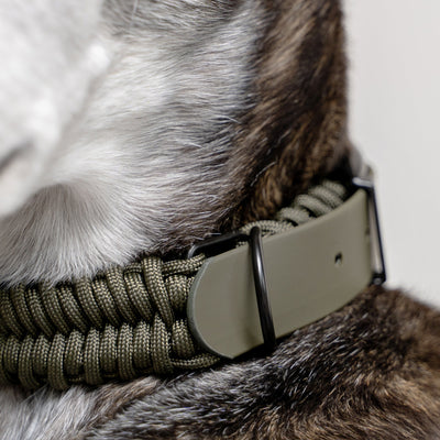 FOSSIL WIDE Paracord collar