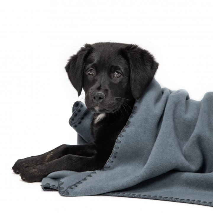 Dog Blanket Fleece