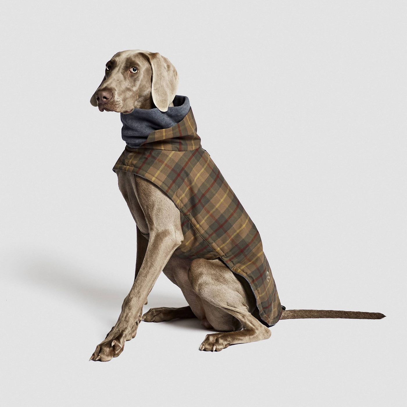 Dog Coat Brooklyn