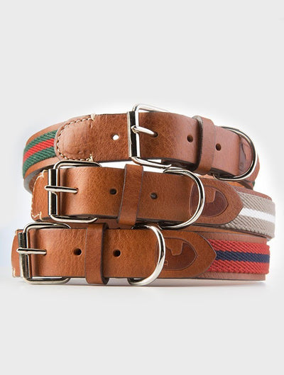 Baseball dog collar