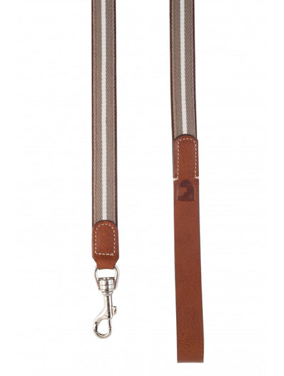 Baseball dog lead
