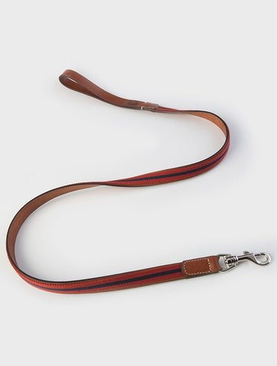 Baseball dog lead