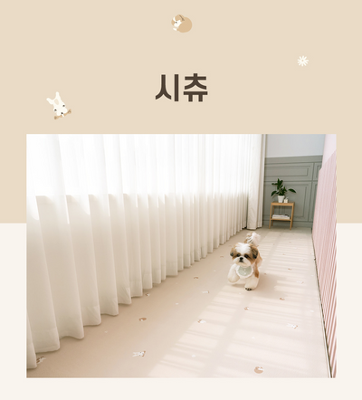 【預定】防滑防水寵物地墊 - Hallway 走廊款 (Breed Pattern)
