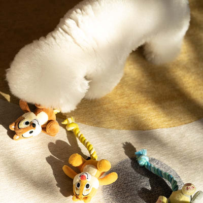 Disney Rope Toy