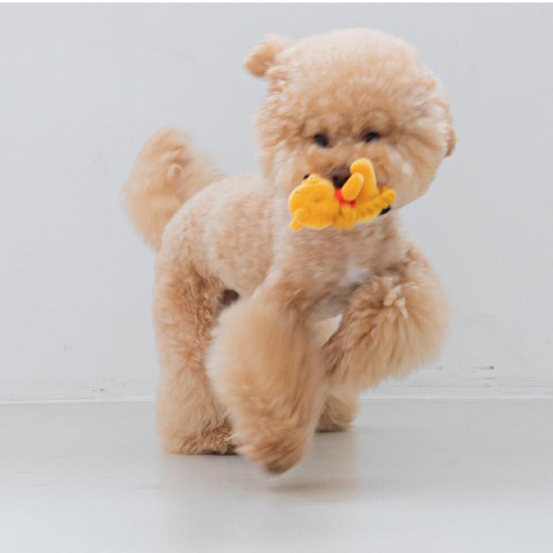 Disney Rope Toy
