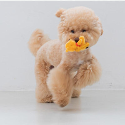 Disney Rope Toy