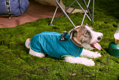 Zipped Quilting Vest
