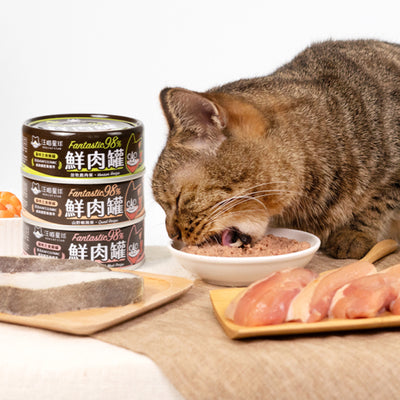 Complete Meal Can for Cats