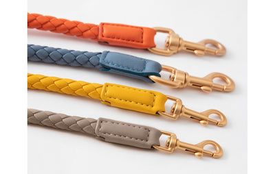 FERDINANDO - Dog Leather Leash