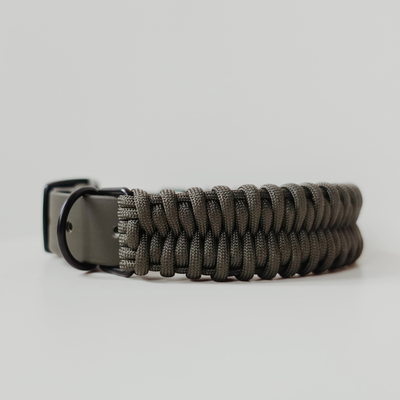 FOSSIL WIDE Paracord collar