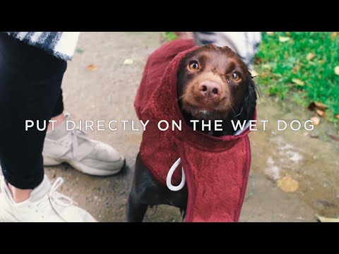 Smart Drying Coat