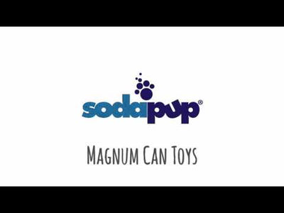 Magnum Can Toy