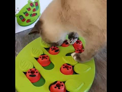 貓貓益智漏食玩具 - 快閃快拼