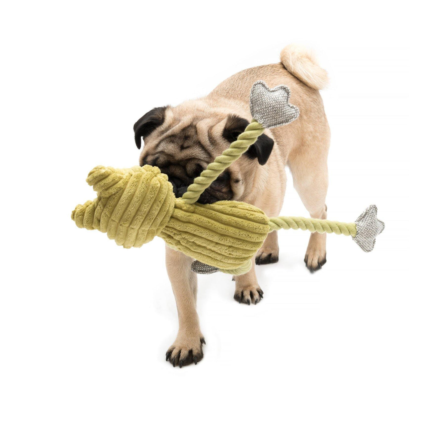 Fredrik Frog Plush Dog Toy - Petisan