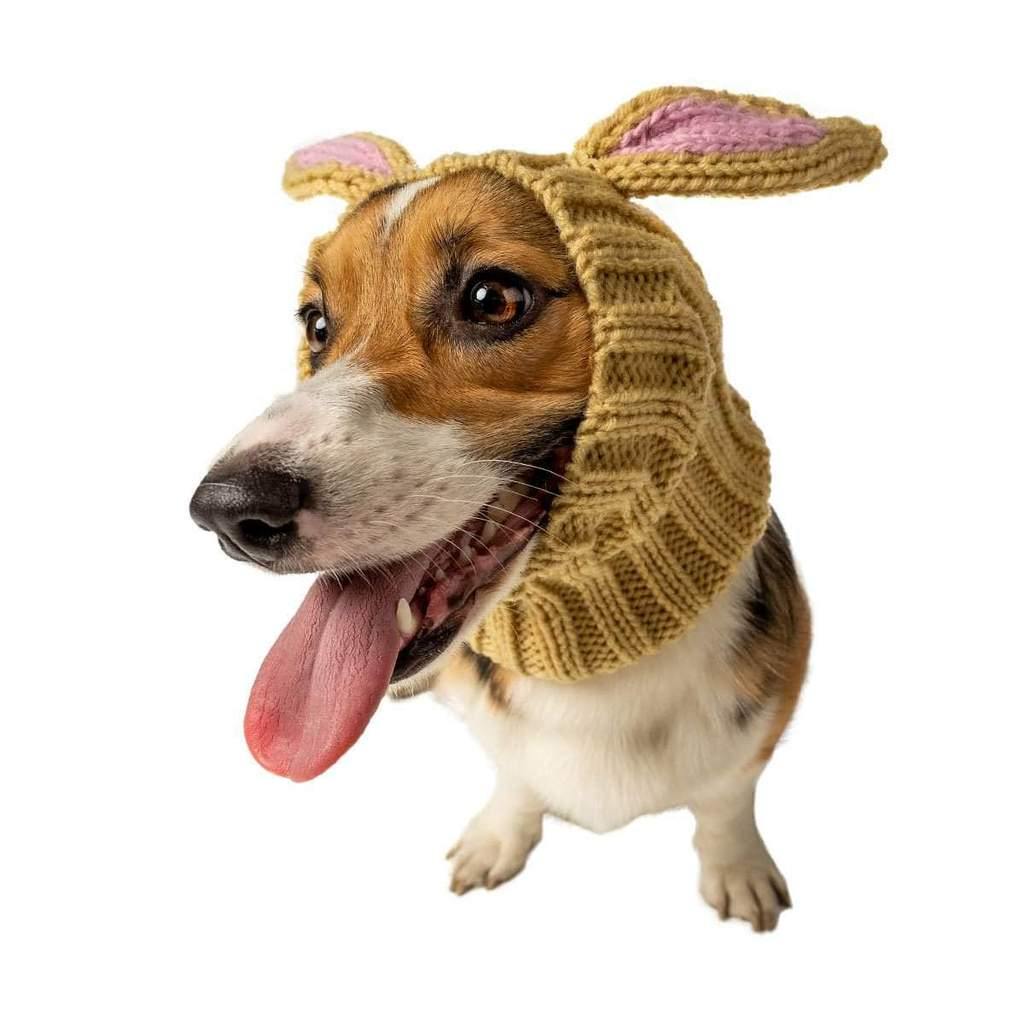 JACK RABBIT ZOO SNOOD - Petisan